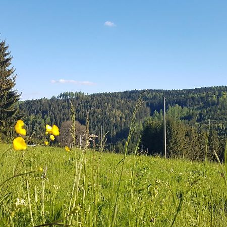 Ferienwohnung Wegespinne Zwota Экстерьер фото