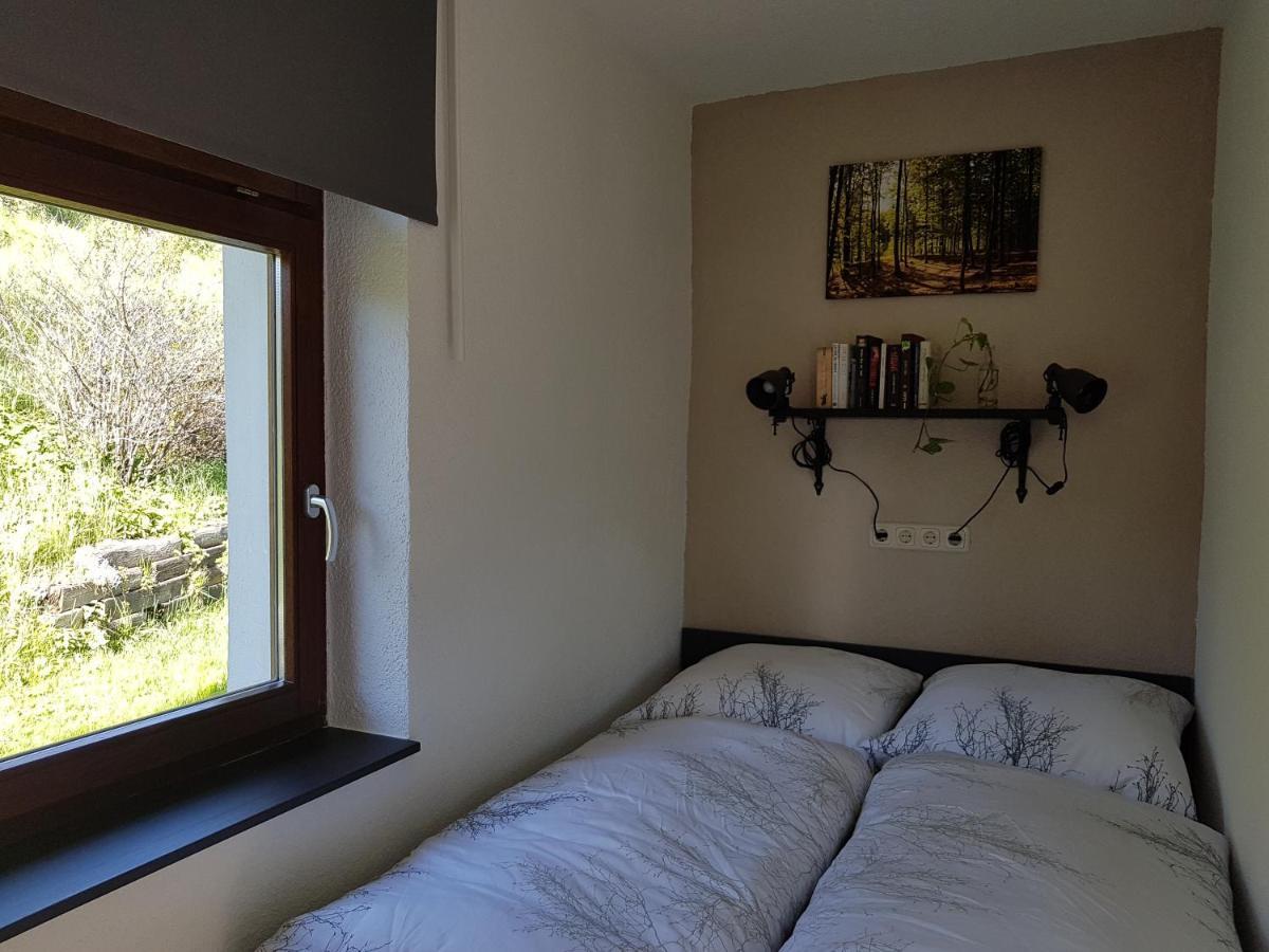 Ferienwohnung Wegespinne Zwota Экстерьер фото